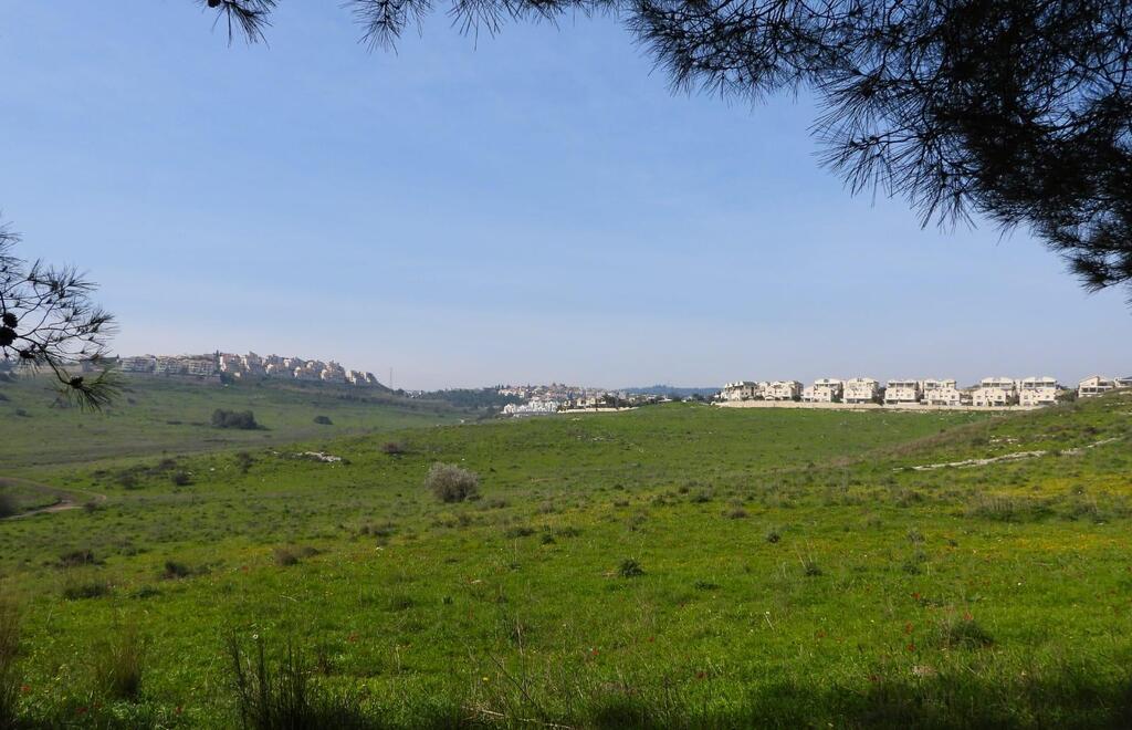 הטבע ניצח. עמק השלום (צילום: דב גרינבלט, החברה להגנת הטבע) הטבע ניצח. עמק השלום
