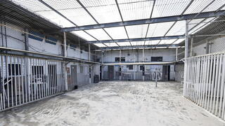 בית סוהר דמון