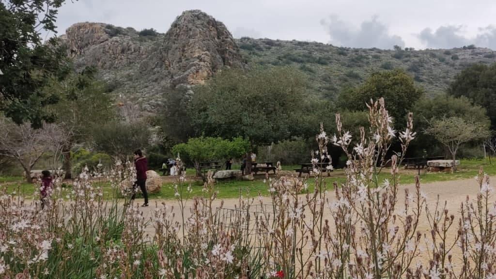 מטיילים בשמורת נחל מערות (צילום: רן פרץ, רשות הטבע והגנים) מטיילים בשמורת נחל מערות