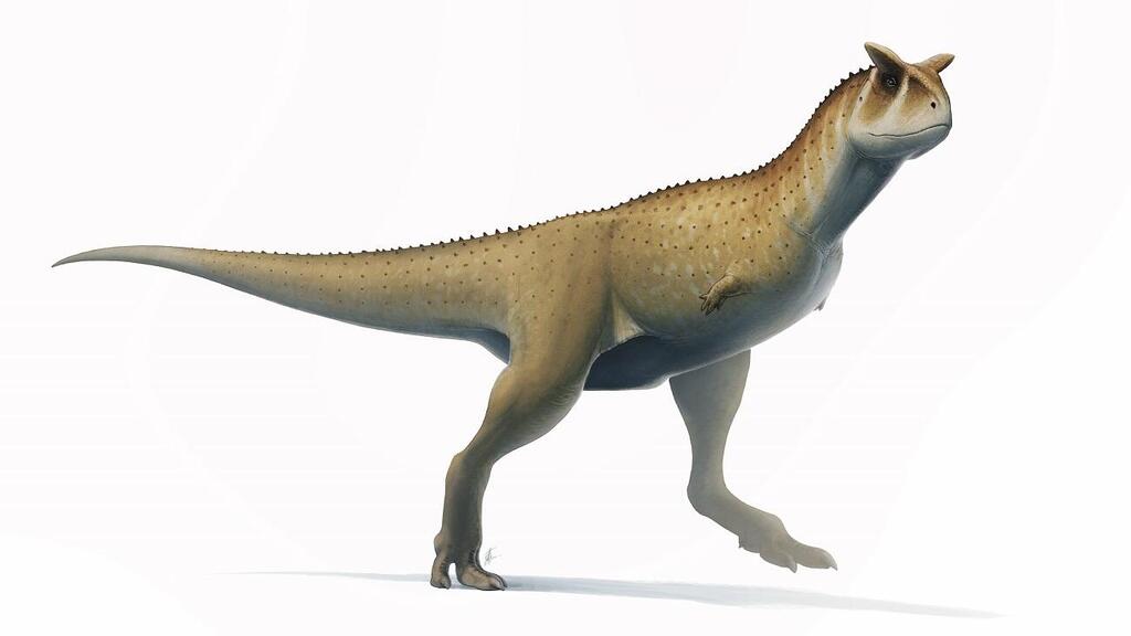 Guemesia Ochoai (איור: Fred Wierum) Guemesia Ochoai