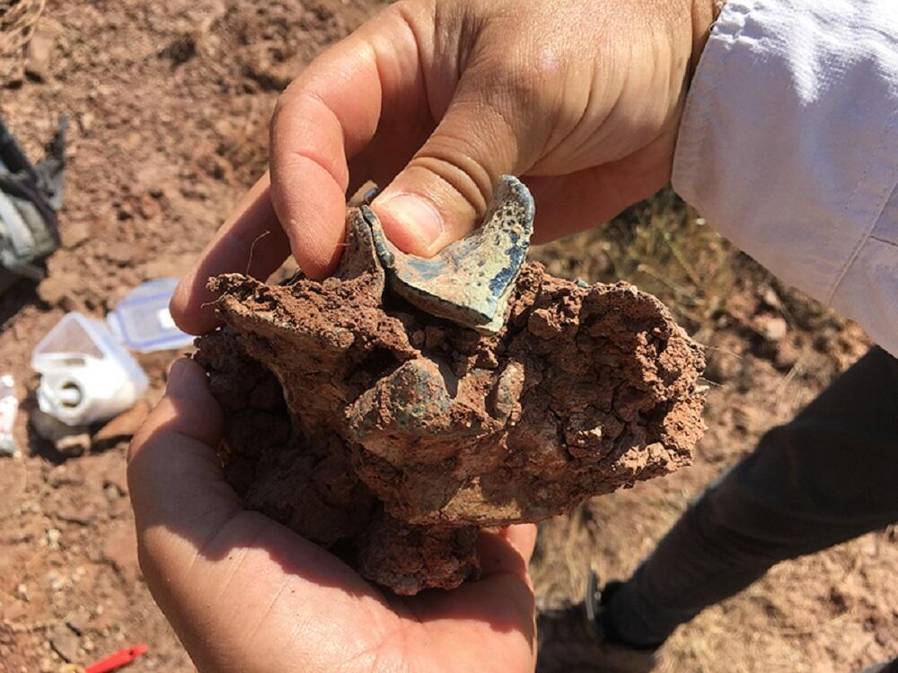 שברי עצם לסת השייכת לברונתותריומים, משפחת בעלי חיים דמויי קרנף, שנמצאה בטורקיה (צילום: Alexis Licht & Grégoire Métais) שברי עצם לסת השייכת לברונתותריומים, משפחת בעלי חיים דמויי קרנף, שנמצאה בטורקיה