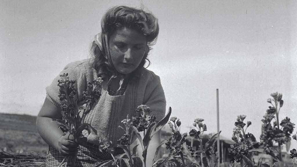 1948 גידול פרחים ב רמת השרון