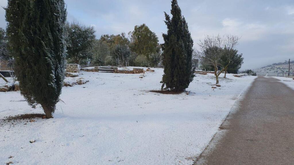 שלג בקיבוץ מלכיה שבגליל העליון (צילום: עידן ברנע, החברה להגנת הטבע) שלג בקיבוץ מלכיה שבגליל העליון