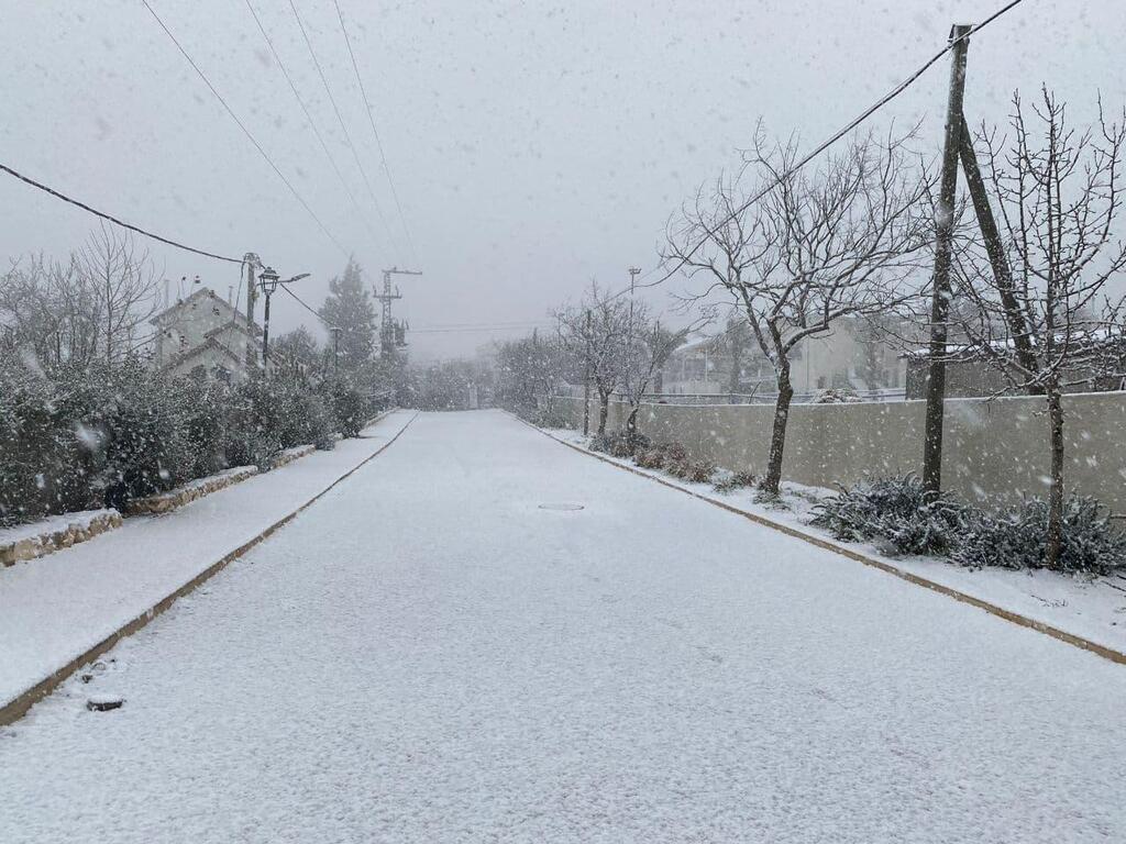 כרם בן זמרה (צילום: הלה בוז׳ו) כרם בן זמרה