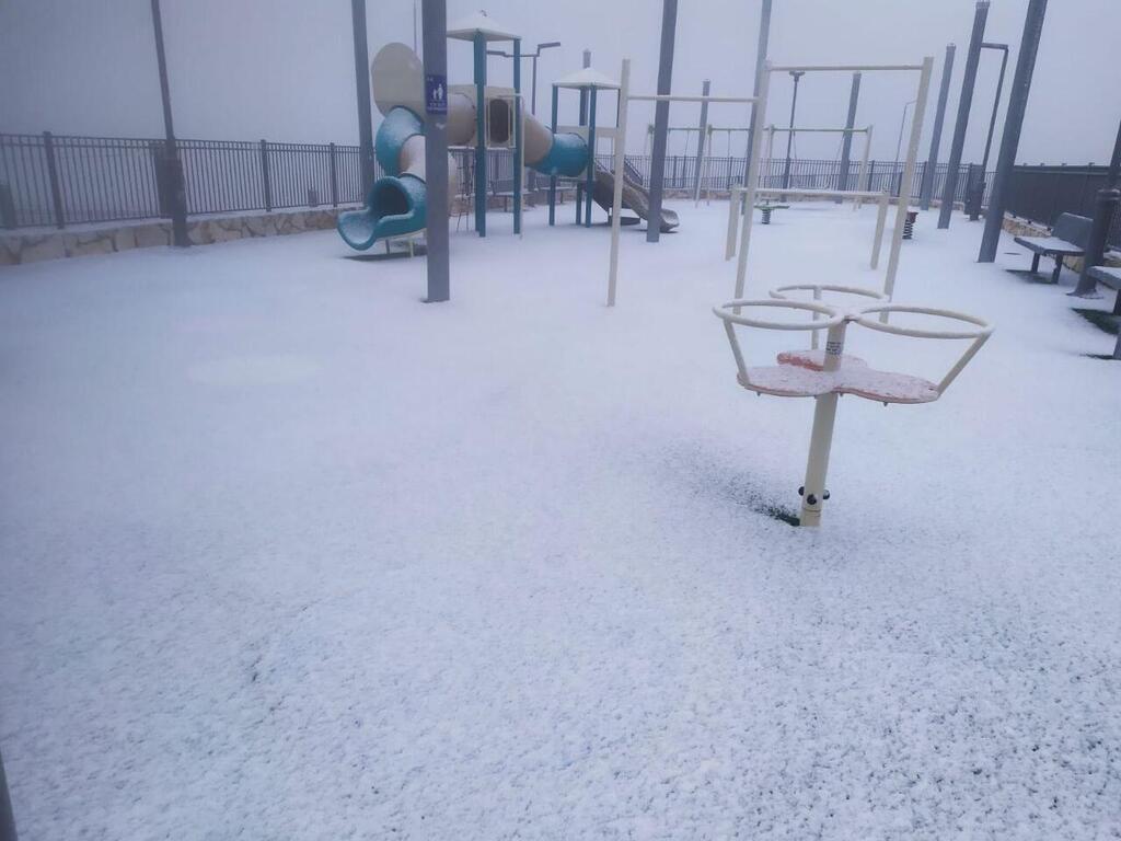 שלג בשומרון (צילום: מועצת שומרון) שלג בשומרון