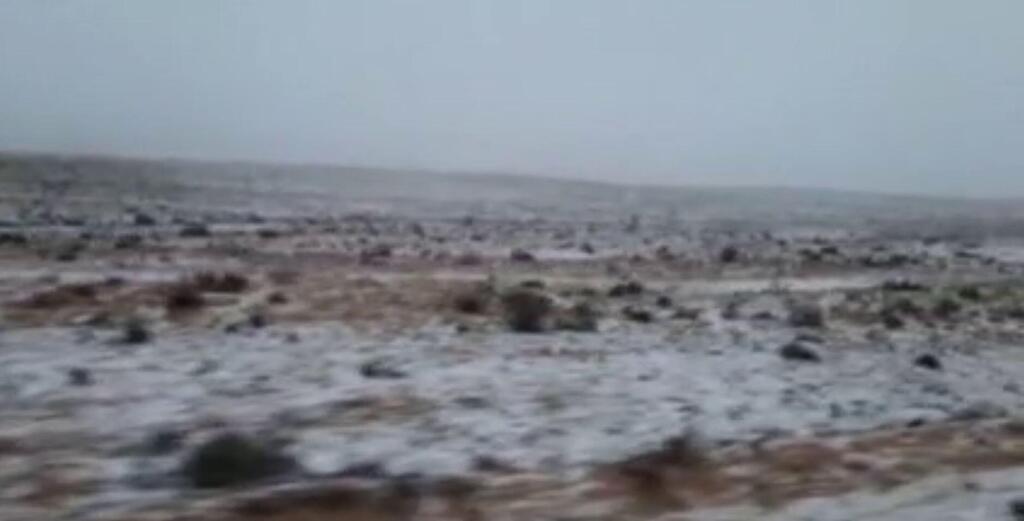 שלג בהר הנגב (צילום: שגב רביבי) שלג בהר הנגב