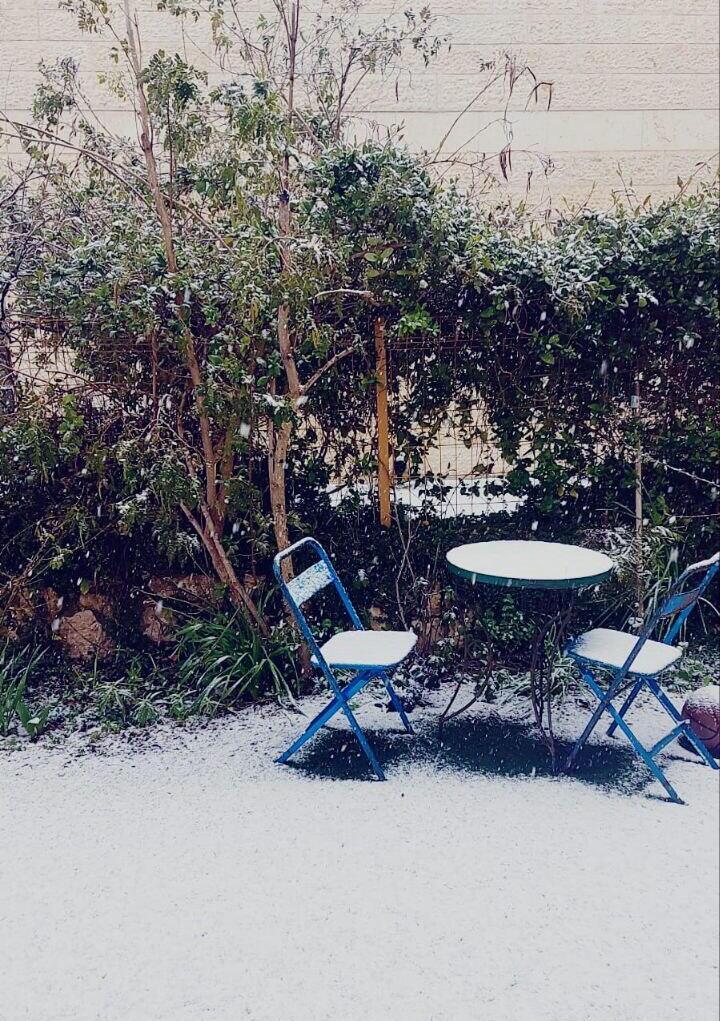שלג בעפרה (צילום: אלישבע כהן) שלג בעפרה