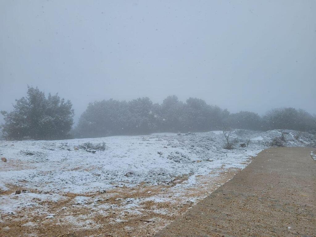 שלג בהר מירון, הבוקר (צילום: גיא זהרוני רשות הטבע והגנים) שלג בהר מירון בחודש מרץ