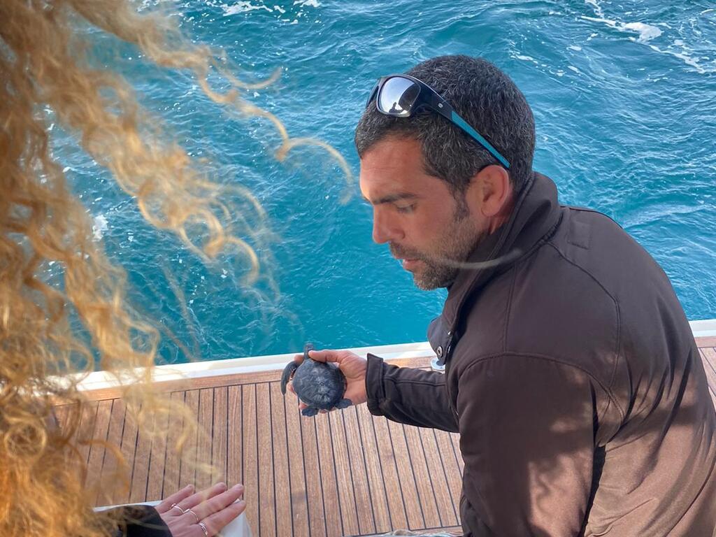 משחררים צב ים צעיר (צילום: יוני איצקוביץ׳, דרך הים) משחררים צב ים צעיר