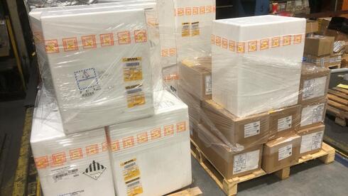 Операция "Две капли" спасет Израиль от полиомиелита: доставлена большая ...