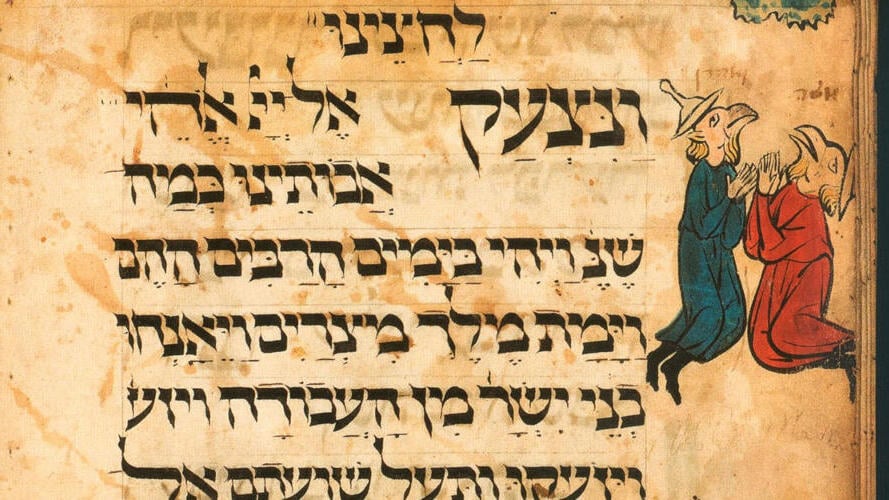 Photo: Hashava foundation