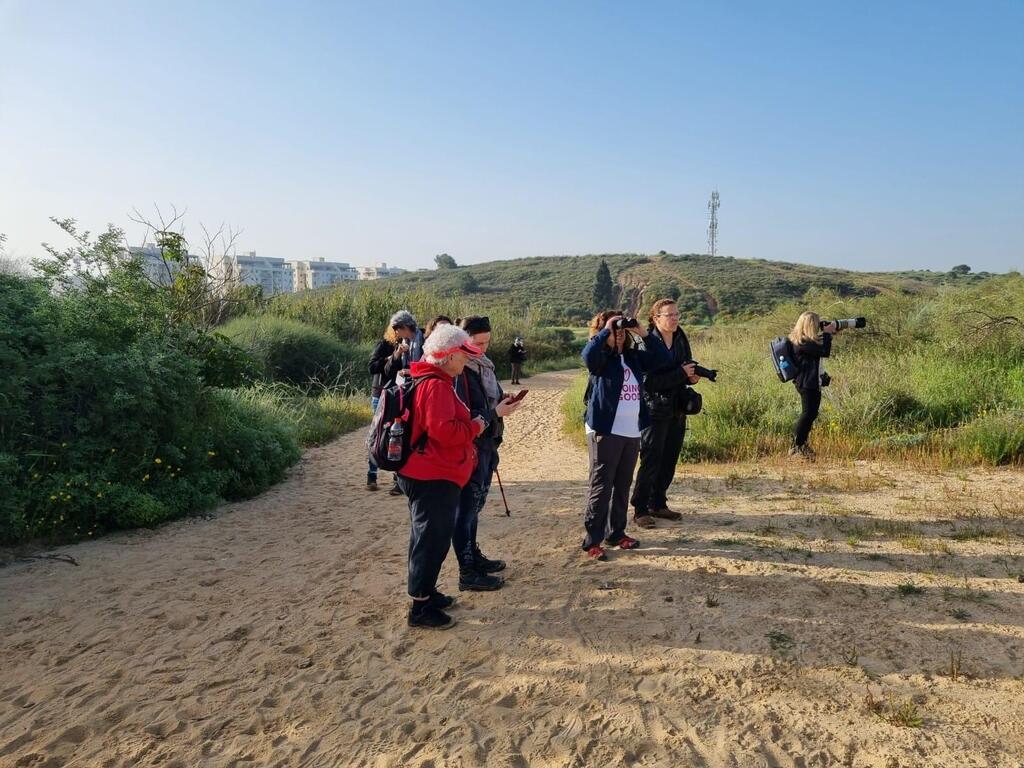 סיור צפרות בגבעות הכורכר, נס ציונה (צילום: נעה פישר) סיור צפרות בגבעות הכורכר, נס ציונה