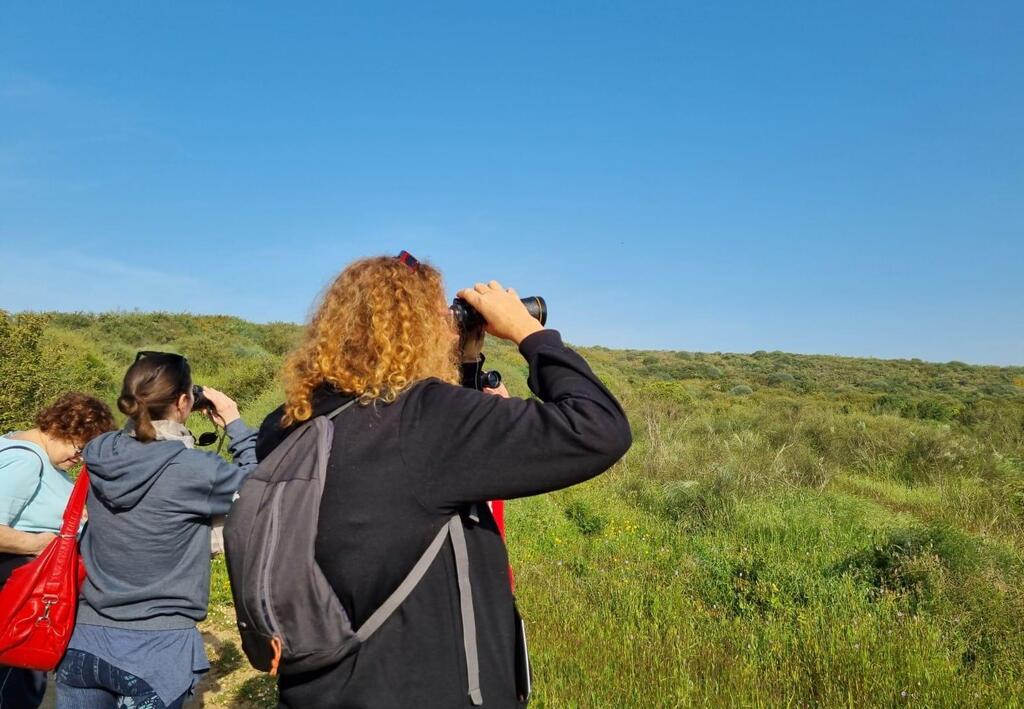 אישה מצפרת בגבעות הכורכר, נס ציונה (צילום: נעה פישר) סיור צפרות בגבעות הכורכר, נס ציונה