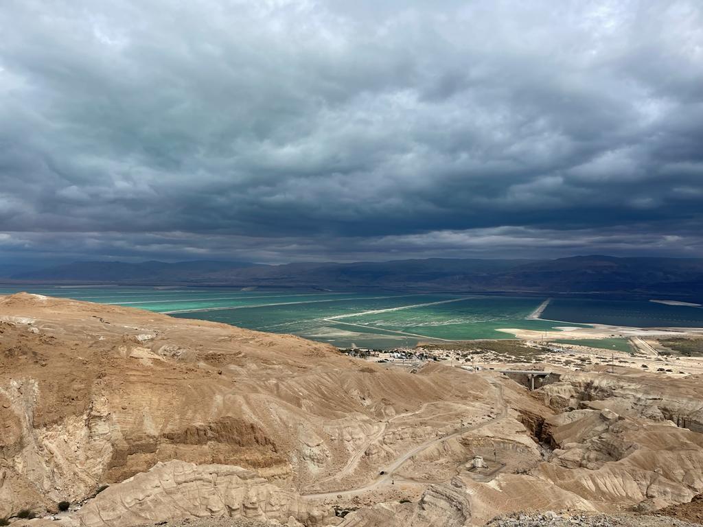 פרחים, יעלים והרבה נוף – הטבע מבעד לעדשת פקחי השטח