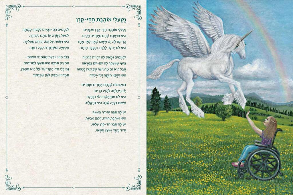 כריכת הספר