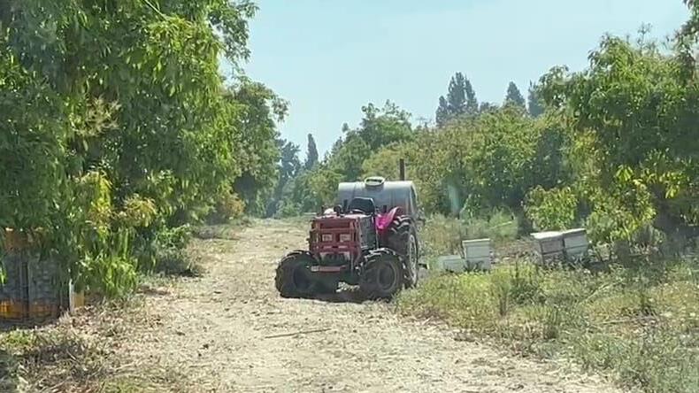 זירת התאונה בשטח החקלאי, הבוקר (צילום: תיעוד מבצעי מד"א) זירת האירוע