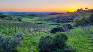 Tuscany's Porto Ercole: Jazz and Caravaggio near the sea