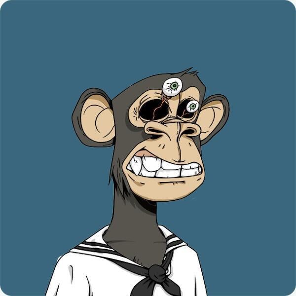 הקוף של גיא הירש