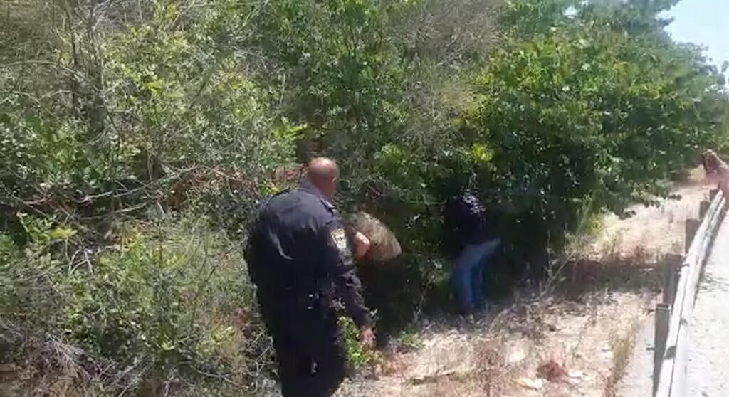 צילום: יחידת הכלבנים הארצית החיפושים אחר ספיר נחום הנעדרת מעכו