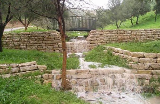 כדי למנוע סחף: טראסות ליד מעלה אדומים (קק"ל) טראסות מעלה אדומים