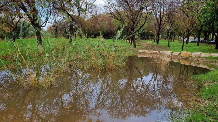 בריכת חלחול בחורשת בויאר בתל אביב (עיריית תל אביב) חורשת בויאר תל אביב בריכת חלחול