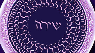 עטיפת ספרו של אילן יוסף ברקוביץ'