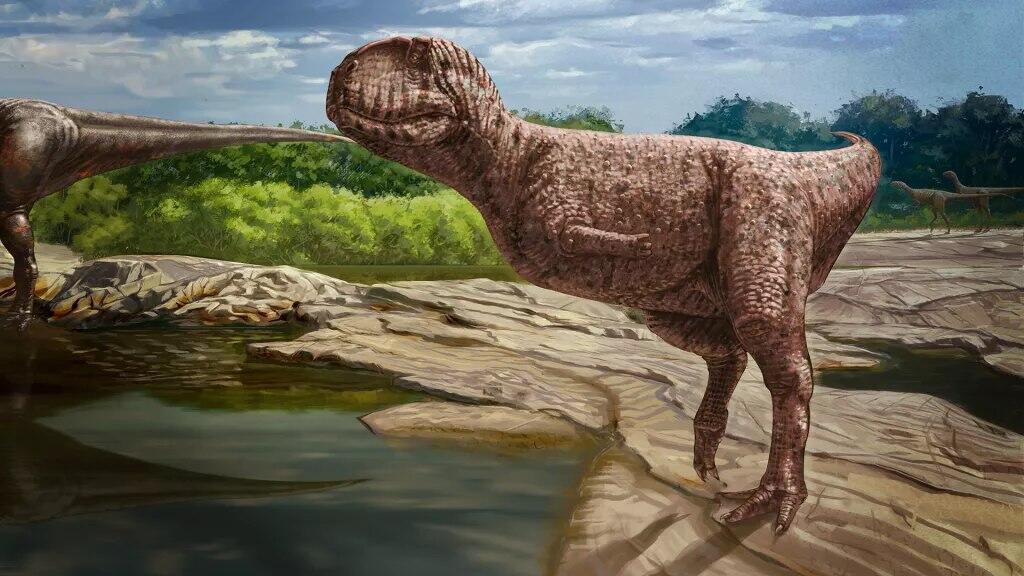 הדינוזאור המוזר (איור: Andrew McAfee, Carnegie Museum of Natural History) הדינוזאור המוזר