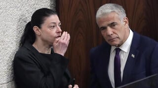 מליאת הכנסת
