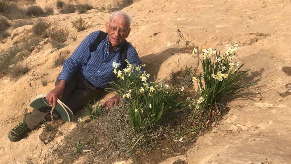 פרופ' יורם יום-טוב ונרקיסים פורחים ליד נחל חצץ (צילום: שמואל אור) פרופ' יורם יום טוב ונרקיסים פורחים ליד נחל חצץ