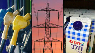 חלב, חשמל ודלק יתייקרו