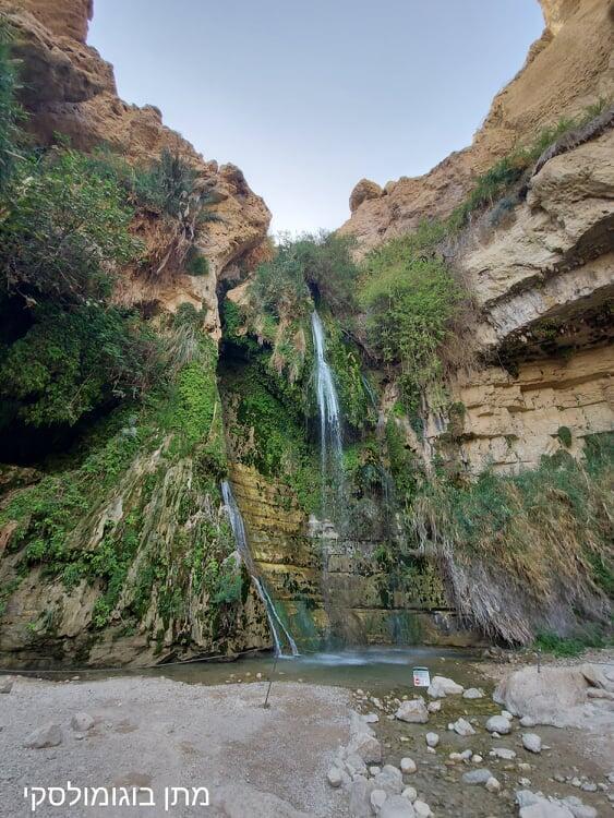 מפל דוד (צילום: מתן בוגומולסקי, רשות הטבע והגנים) מפל דוד