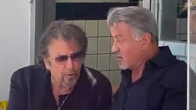 סילבסטר סטאלון