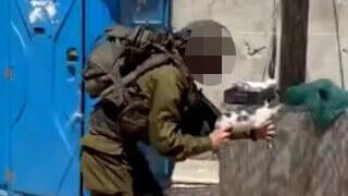 הלוחמת עם גור החתולים בידיה תיעוד מהאירוע