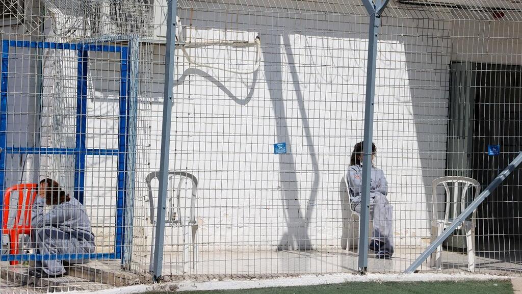 ''קן צרעות רוחש''. נווה תרצה (צילום: יריב כץ) נווה תרצה