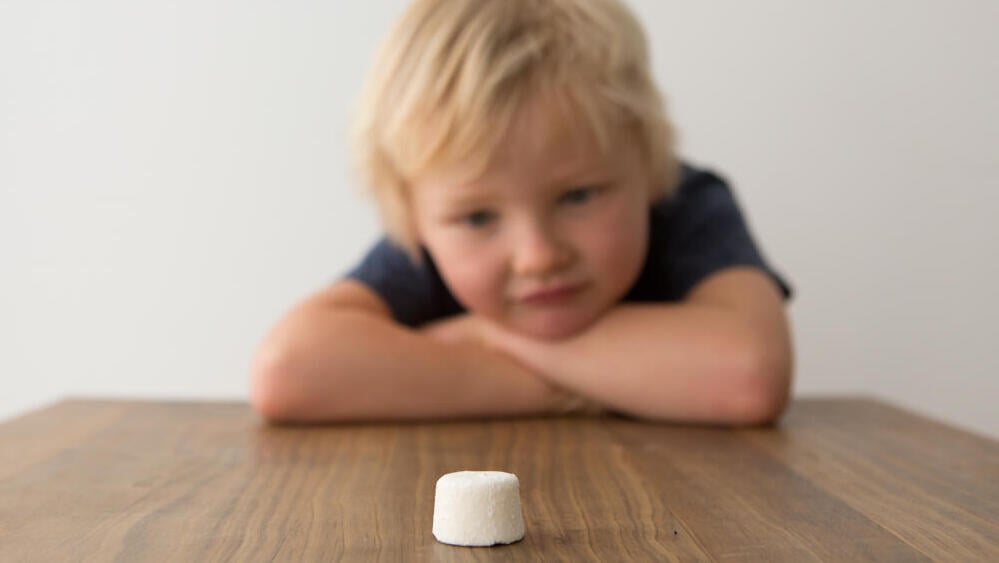 מי התאפק ומי זלל? מבחן המרשמלו (צילום: Shutterstock) ילד ממתין לאכול מרשמלו