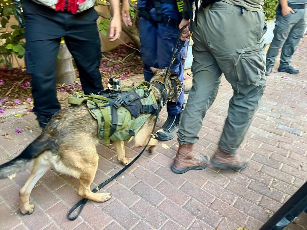 אינגה הכלבה מיחידת עוקץ