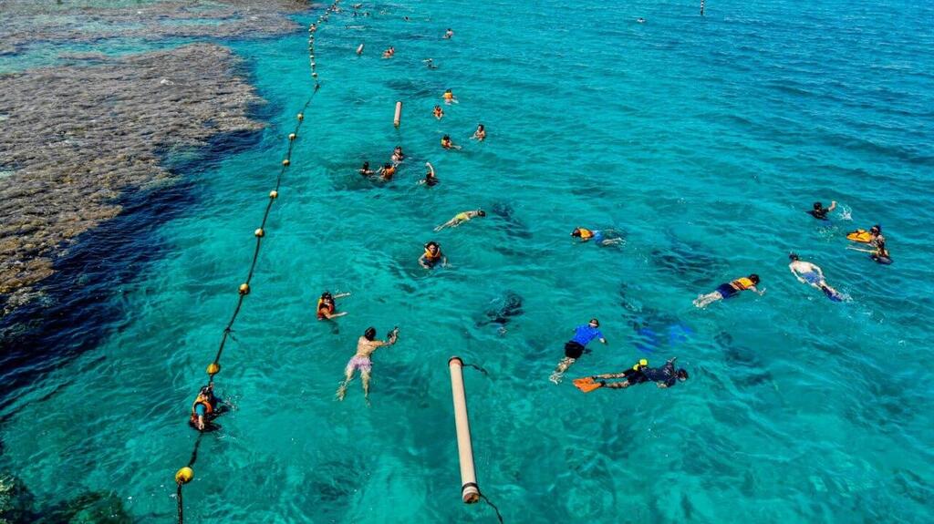 Eilat Bay coral reef (Photo: Chen Topikian, Society for the Protection of Nature) שמורת הטבע אלמוגים במפרץ אילת