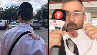 דובי פרובר