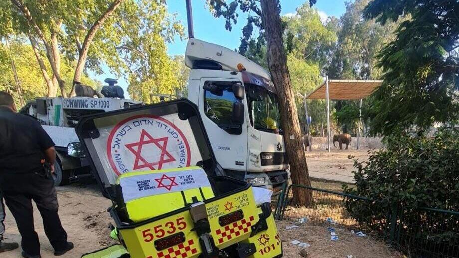 The truck that crashed into a tree in Ramat Gan's Safari zoo (Photo: David Sharabi) המשאית שהידרדרה