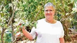 עדית לוי