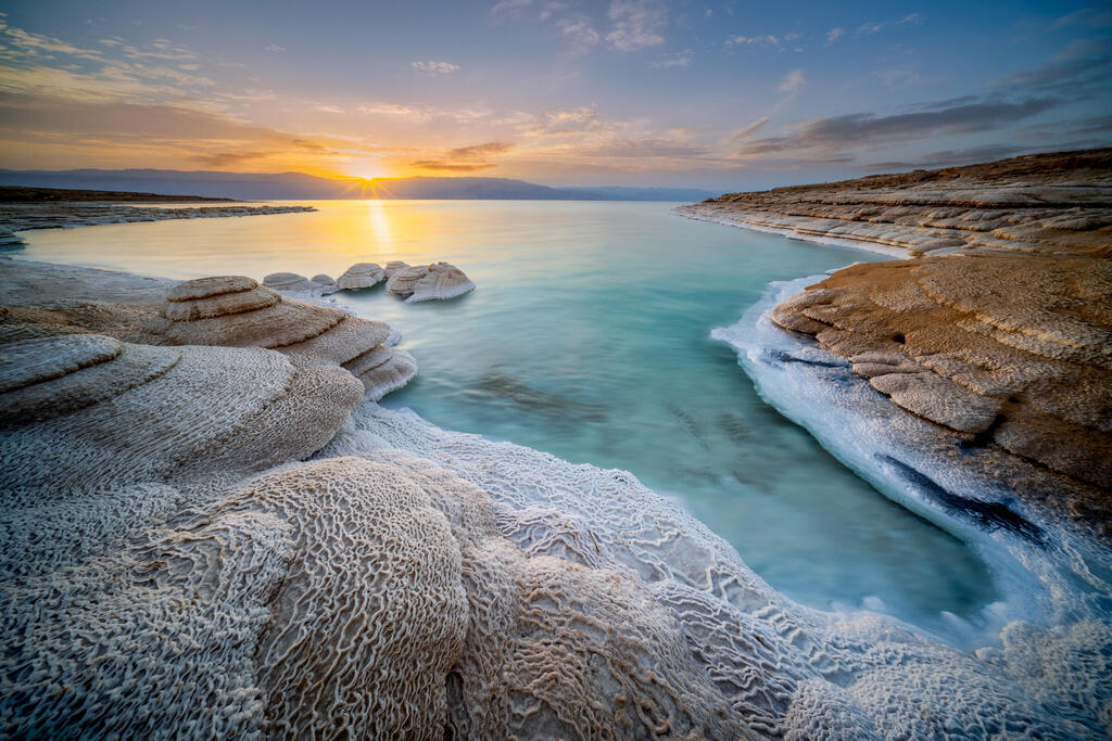 Israeli company to produce drought-resistant plants from Dead Sea genes