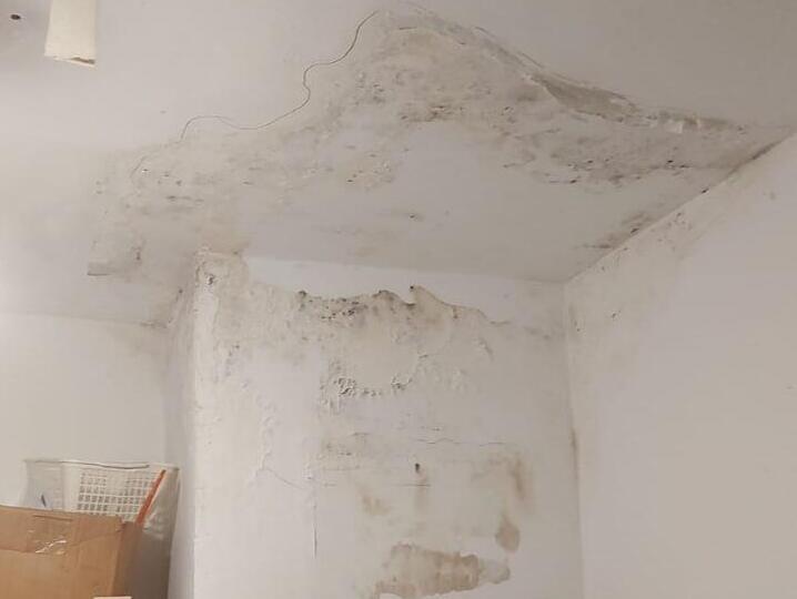 קדחה, שורדת השואה בדירת עמידר (באדיבות המשפחה) קדחה, שורדת השואה בדירת עמידר