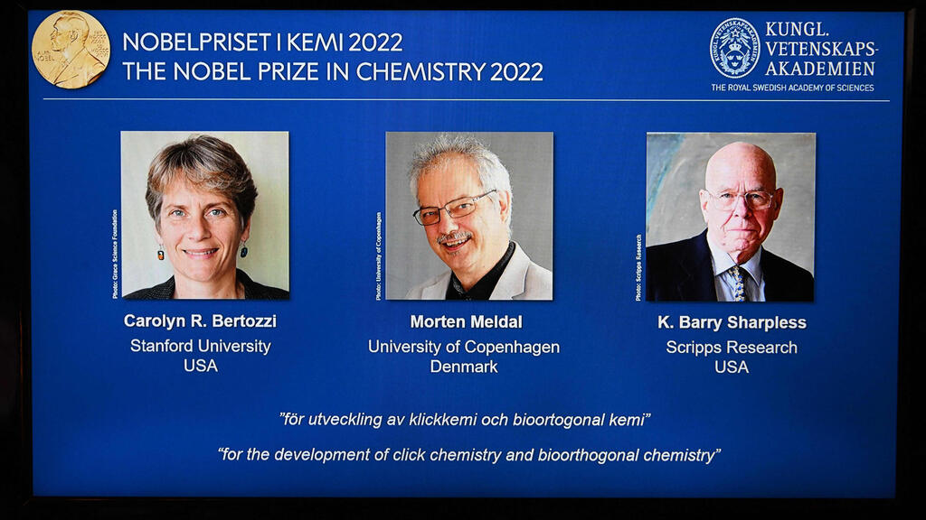 שלושת המדענים. "יצרו כלי גאוני לבניית מולקולות"
