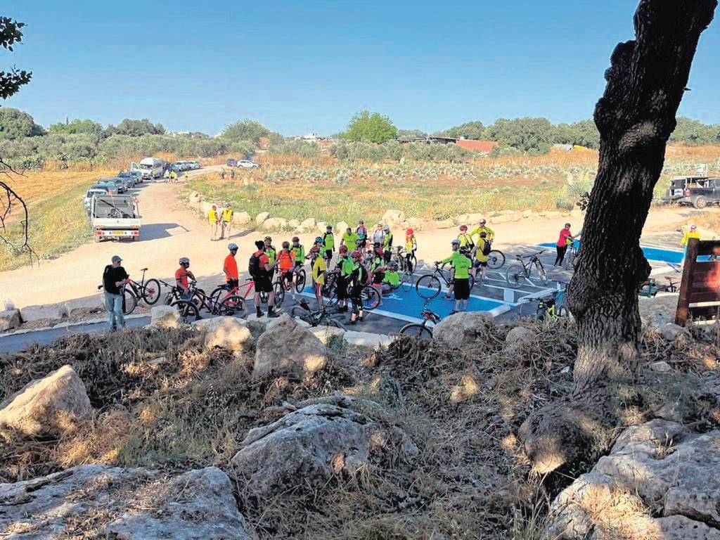 סינגל גבעת חציר (מעיין בן נעים, ארכיון הצילומים קק"ל) סינגל גבעת קציר