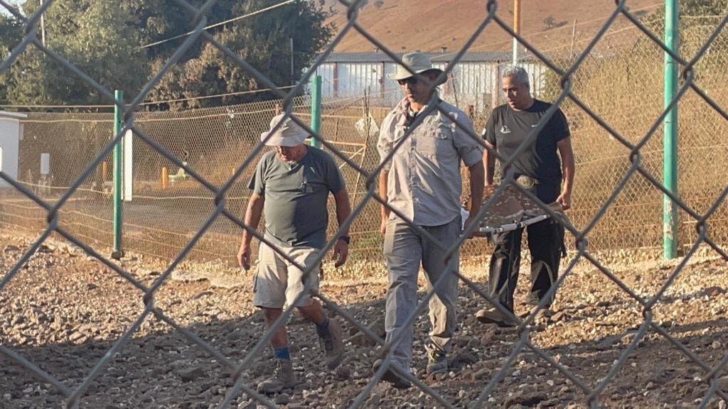 אמיתי ביקש להחזיר את האיילים שהוחרמו (צילום: רשות הטבע והגנים) אמיתי ביקש להחזיר את האיילים שהוחרמו