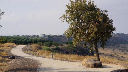 מכפר חרוב למבוא חמה. טיילת מצוקי האון