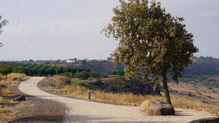 מכפר חרוב למבוא חמה. טיילת מצוקי האון
