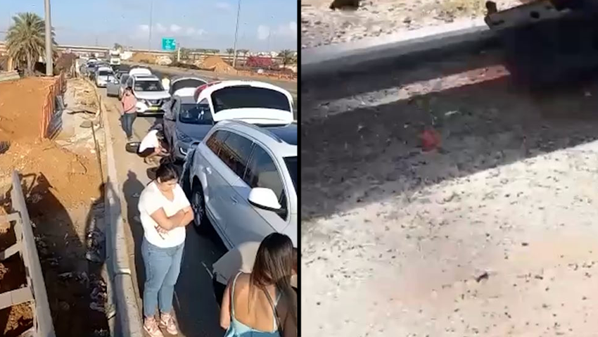 Девять машин одновременно прокололи шины на шоссе № 431