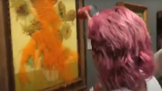 פעילים שופכים מרק על יצירתו של ואן גוך "החמניות"