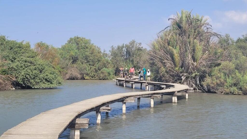 יתקרר קצת, אבל עדיין יהיה חם. שמורת עין אפק (צילום: תמר עבדת, רשות הטבע והגנים) מטיילים בשמורת עין אפק, שמחת תורה